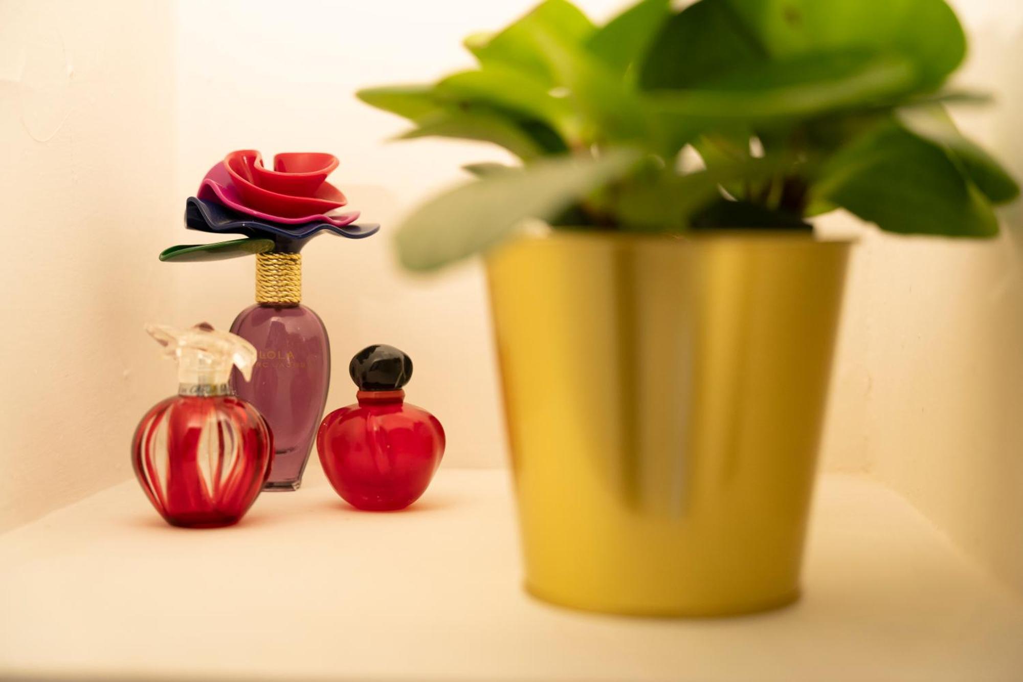 Loving Santo Spirito Apartment *